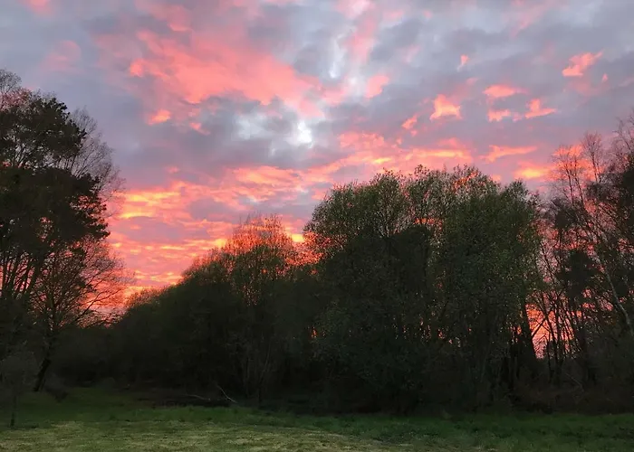 D'hotes La Teouleyre 招待所 波讷地区圣朱利安