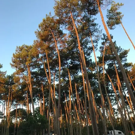 D'hôtes La Téouleyre *